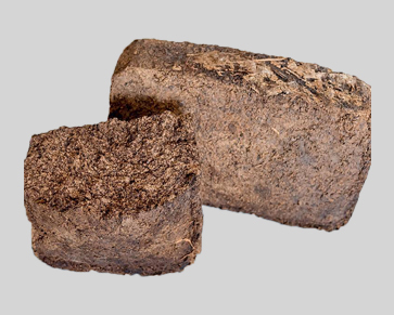 麻豆精品88AV厂家